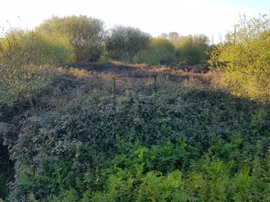 Finca rústica en el lago, valdoviño