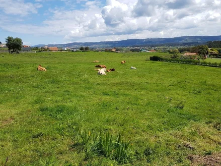 Se vende finca rústica en meirás, valdoviño