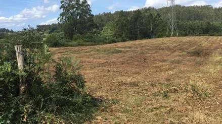 Finca edificable en sanguiñeira, san sadurniño