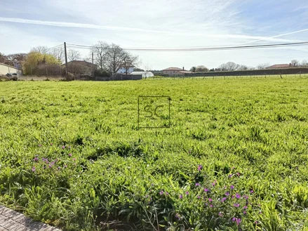 Terreno edificable en canto do muro