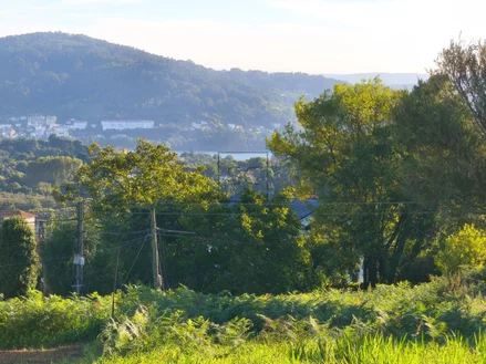 Parcela edificable en laraxe, cabañas