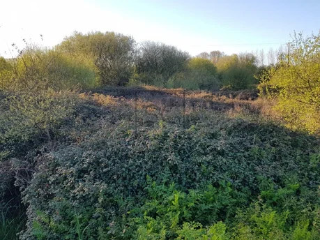 Finca rústica en el lago, valdoviño