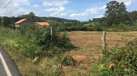 Finca edificable en sanguiñeira, san sadurniño