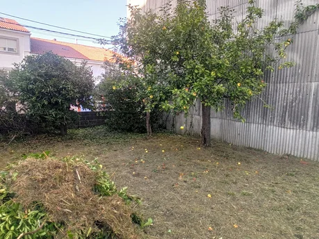 Casa con finca para rehabilitar en solar urbano.