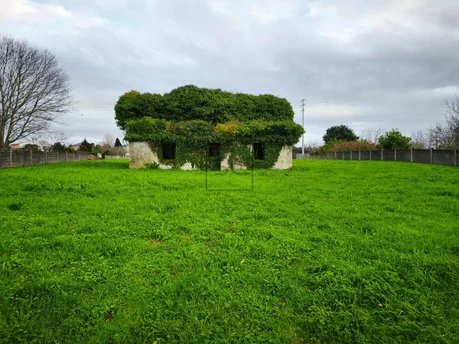 Finca edificable, o feal, narón