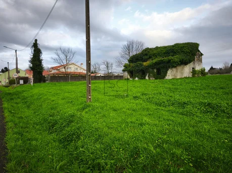 Finca edificable, o feal, narón