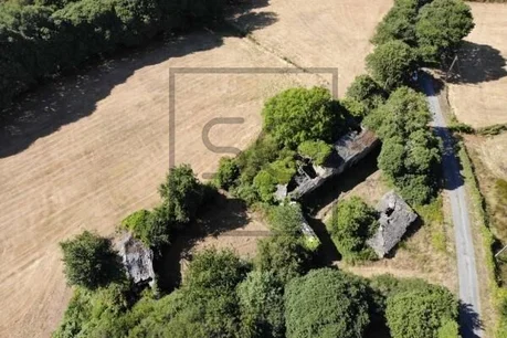 Casa para rehabilitar con gran finca en begonte