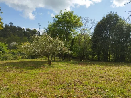 Casa para rehabilitar en Cabañas.