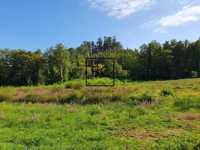 Casa con finca en sedes, narón