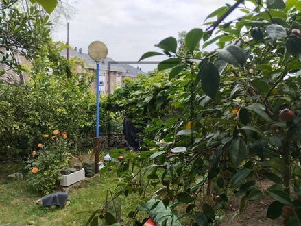 Casa con terreno para reformar parcialmente en portazgo, culleredo