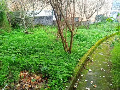 Casa con finca edificable en canido-ferrol