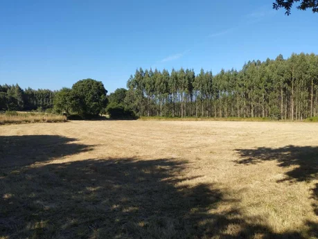 Finca en a sabugeira, begonte, lugo