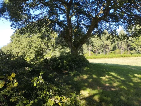 Finca rústica en begonte, lugo
