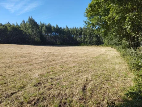 Finca rústica en begonte, lugo